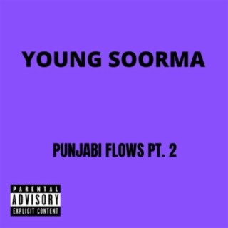 Punjabi Flows, Pt. 2