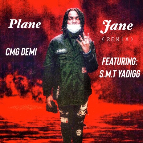 Plane Jane (Remix) ft. S.M.T Yadigg | Boomplay Music