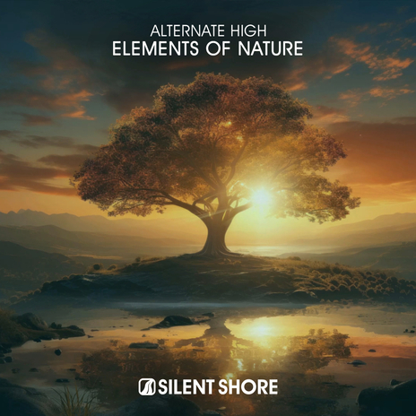 Elements Of Nature (Extended Mix) | Boomplay Music