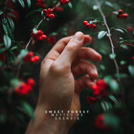 Sweet Forest | Boomplay Music