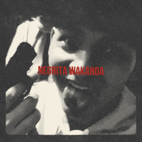 Negrita Wakanda | Boomplay Music