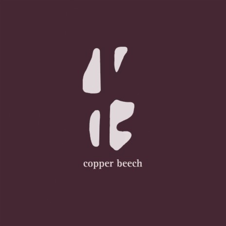 Copper Beech | Boomplay Music