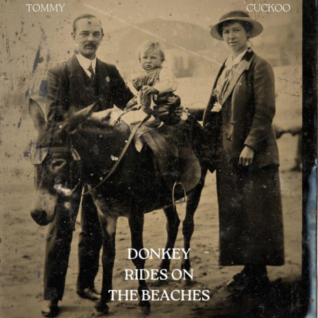 Donkey Rides on the Beaches | Boomplay Music