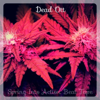 Spring Into Action