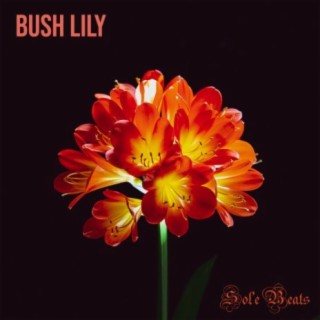 Bush Lily (feat. Sol'e)