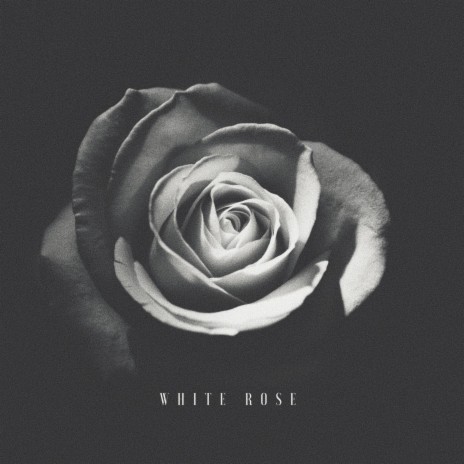 White Rose | Boomplay Music