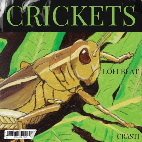 Crickets Lofi beat | Boomplay Music