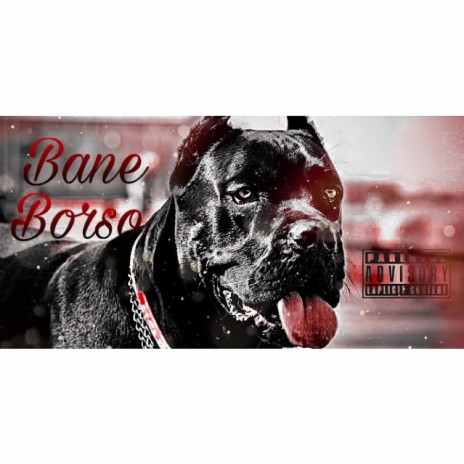 Bane Borso | Boomplay Music