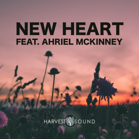 New Heart (feat. Ahriel McKinney) | Boomplay Music