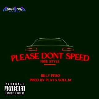 PLEASE DON'T SPEED (freestyle)