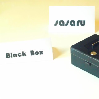 Black Box