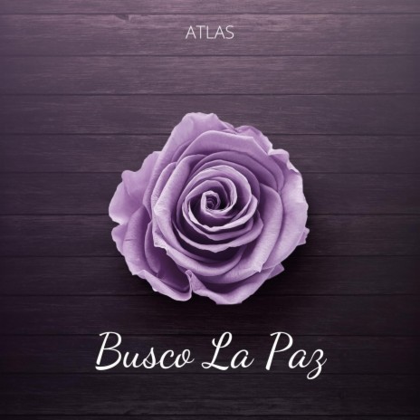 Busco la Paz | Boomplay Music