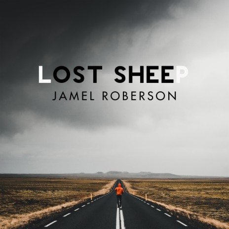 Lost Sheep | Boomplay Music