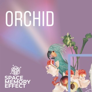 Orchid