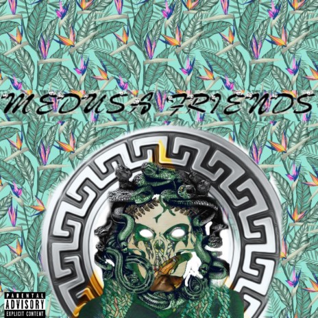 Medusa Friends | Boomplay Music