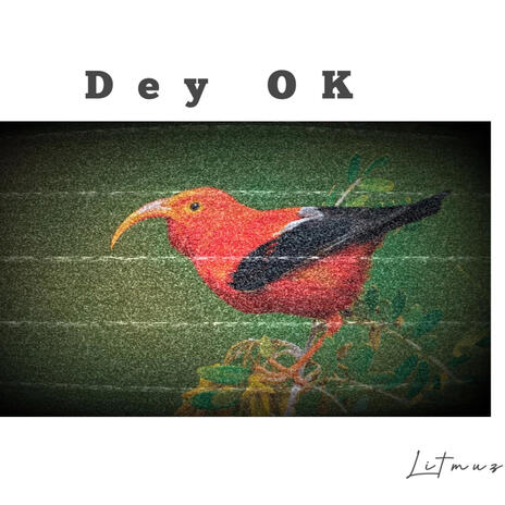 Dey Okay ft. Azure_beats | Boomplay Music