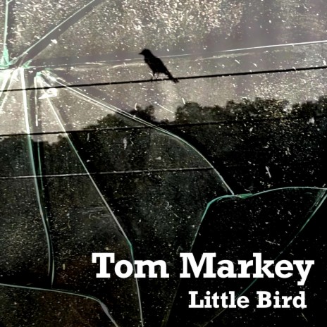 Little Bird | Boomplay Music