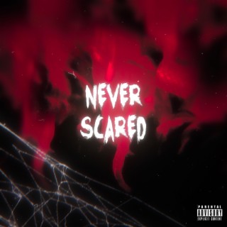 Never Scared