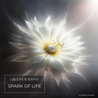 Spark Of Life