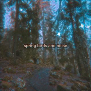 spring birds and noise