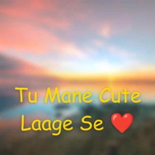 Tu Manne Cute Laage Se