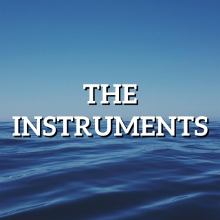 The instruments