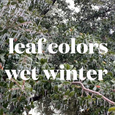 Wet Winter | Boomplay Music