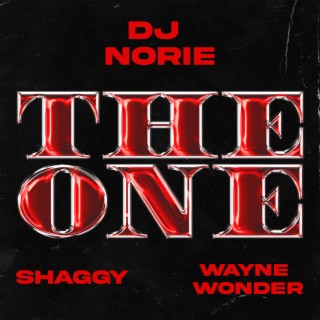 The One (ft Shaggy & Wayne Wonder)
