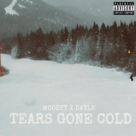 TEARS GONE COLD ft. Dayle Camilleri | Boomplay Music