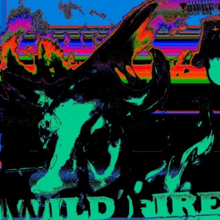 Wild Fire