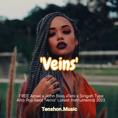 Veins (FREE Afro Pop Instrumental Latest Afrobeat 2023) | Boomplay Music