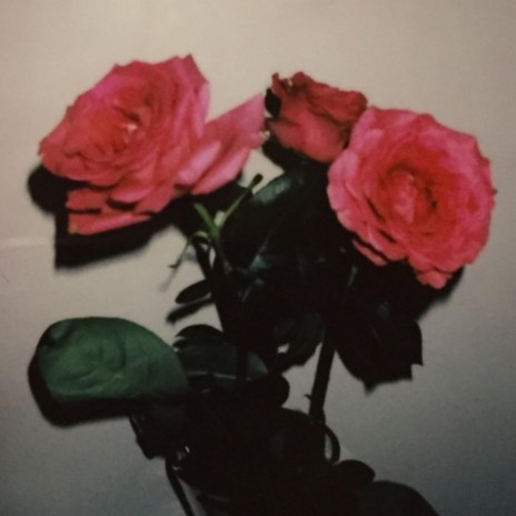 rosen | Boomplay Music