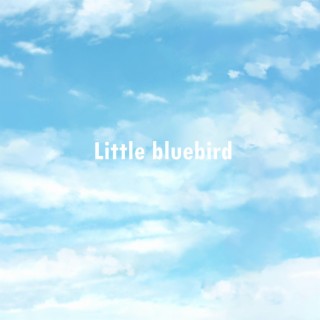 Little bluebird