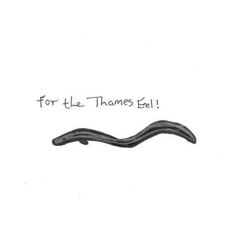 For the Thames Eel | Boomplay Music