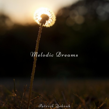 Melodic Dreams | Boomplay Music