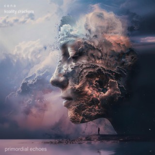 Primordial Echoes