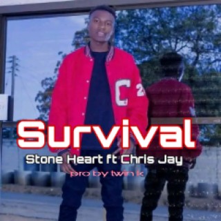 Stone heart X Chris jae