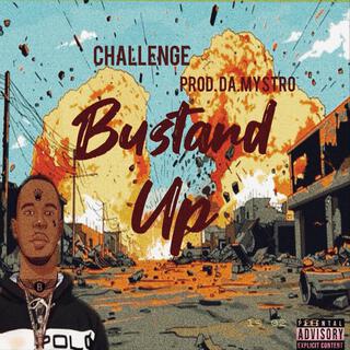 Bustard Up Challenge