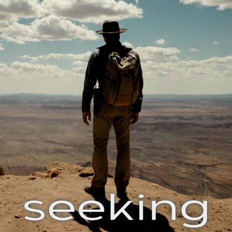 Seeking | Boomplay Music