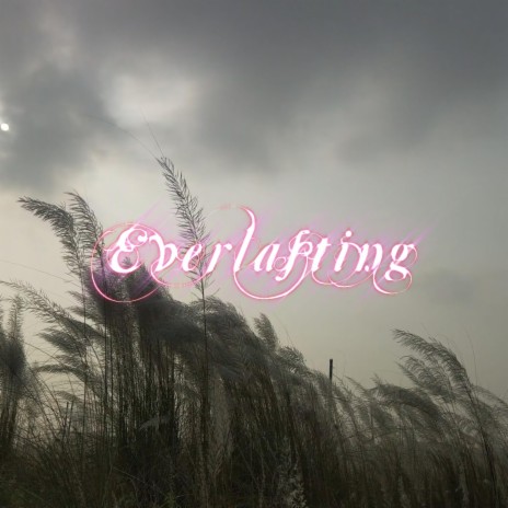 Everlasting | Boomplay Music