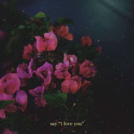 say “i love you” | Boomplay Music