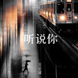 听说你 (释怀版) lyrics | Boomplay Music