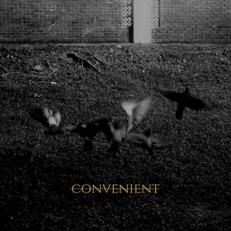 Convenient | Boomplay Music