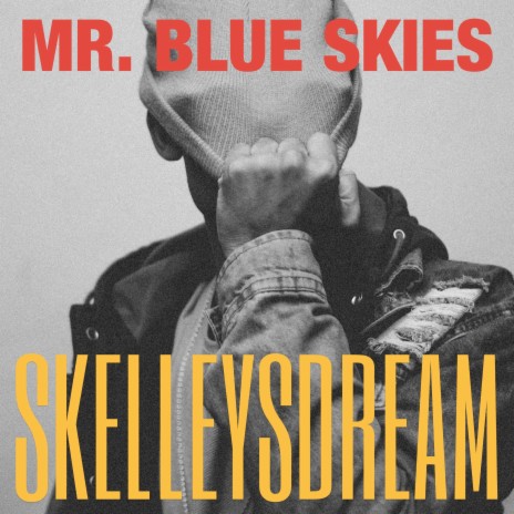 Mr. Blue Skies