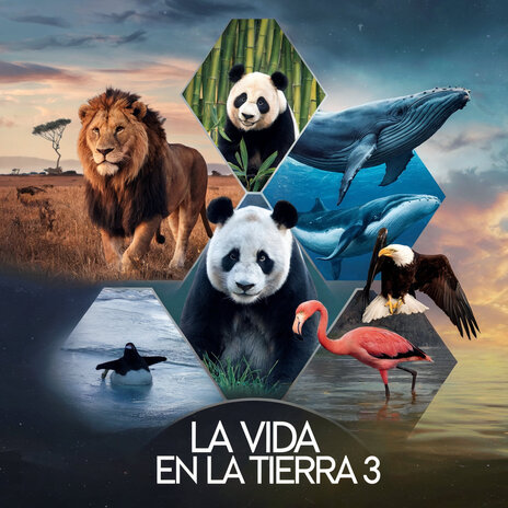 La Vida En La Tierra 3 | Boomplay Music