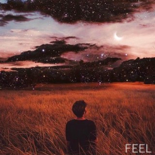 Feel