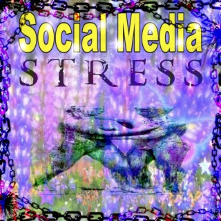 SOCIAL MEDIA STRESS (enghave parken)