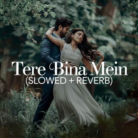 Tere Bina Mein (Slowed + Reverb) | Boomplay Music