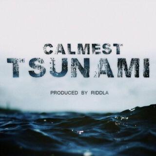 CALMEST TSUNAMI