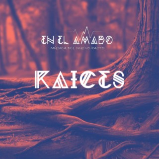 RAÍCES lyrics | Boomplay Music